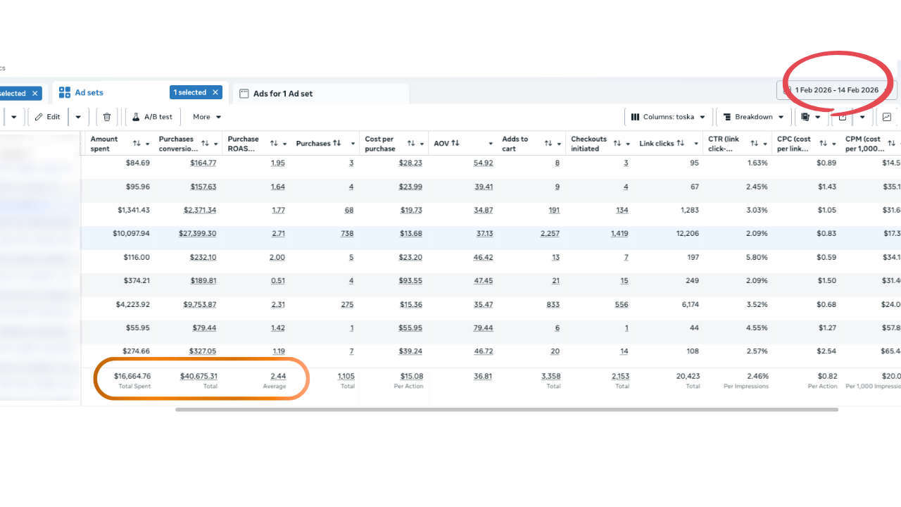 Client ad account results in Meta Ads Manager
